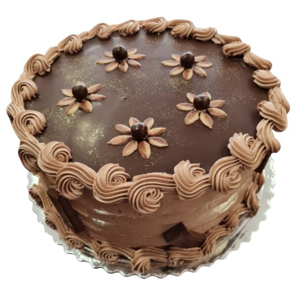 Torta SK29 (Ø24 cm)